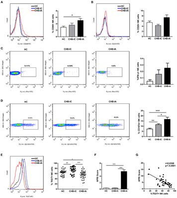 TIGIT Signaling Pathway Regulates Natural Killer Cell Function in Chronic Hepatitis B Virus Infection